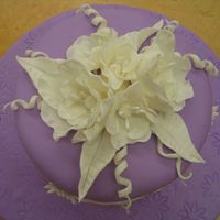 Gumpaste Fantasy Flowers This is from the New Wilton Fondant Gumpaste Class. Fantasy Flowers on 8 inch round cake covered in MMF and Board covered in MMF