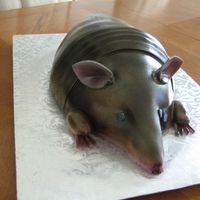 Red Velvet Armadillo Red velvet cake covered in fondant & airbrushed.