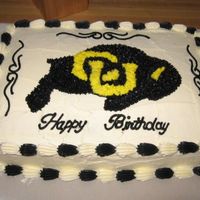 Colorado Buffalo Cake I made this cake for my mothers husband.