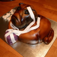 Shar Pei Cake fondant covered cake