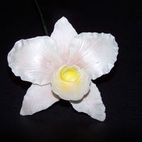 My First Gumpaste Orchid I took a class yesterday on how to make gumpaste orchids and this is the result. I know is not perfect but since orchids are my favorite...