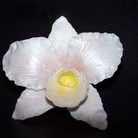 My First Gumpaste Orchid This is another view of my first gumpaste orchid.