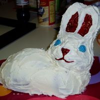 Bunny Cake This poor cake was a near tragedy. It was recovered, however, with a lot of icing and support.