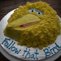 Follow That Bird This is my first trying Hershey chocolate cake and Indydebi's icing. The pan was collecting dust in my Mom's basement and I was...