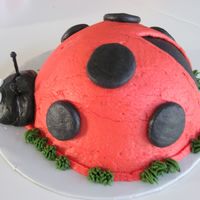 Ladybug Smash Cake buttercream icing with toothpick antennae