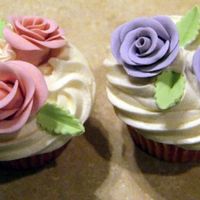 Rose Cupcakes More messing around.