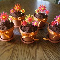 Flower Pot Cakes Chocolate cakes baked in 4" clay flower pots, with chocolate icing and crushed up chocolate Teddy Grahams for the "dirt". I...