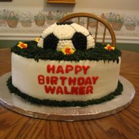 Soccer Birthday 2 layer, 12" round white cake with buttercream icing. The grass is actually dark green, but looks black in the picture. The soccer...