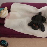 Birthday Cake Top This is a top I made to put on my husbands birthday cake. This is how he is when at home. Him, his blanket and dog. Laverne