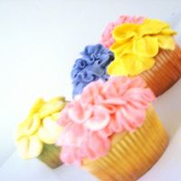 Spring Cupcakes Playing around with different tips after watching the video from the Culinary Institute of America on making flowers on cupcakes.