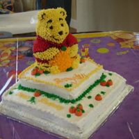 3-D Winnie The Pooh Pumpkin Patch 3/D winnie the pooh on top of two tiers. Pumpkin patch around pooh. For a 1 year birthday. This was one of my first cakes, but I had a...