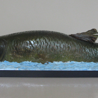 Fish Cake I made this for my Grandpa's birthday. He loves to fish. Although his is now suffering from Alzheimers and just finished treatment for...