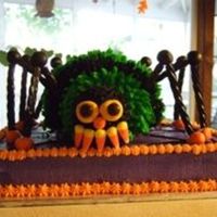 Spider Cake Made this for my mom's fall fund raiser at her school.