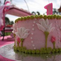Chloe's First Birthday Smash Cake - Side View Chloe's First Birthday smash cake. Side view. All buttercream.