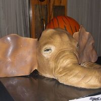 Elephant Head Elephant Head cake for a Safari Gala. Made from 10" Rounds, Ears are Fondant, Trunk is rice crispy treats.