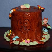 Nelson Tree Stump Cake 8" x 8". Covered in fondant. Baby, owl and tree branch are gumpaste. Butterflies and ladybugs are royal icing. All the rest is...