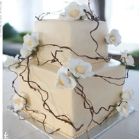 Photo My Cousin Sent this is the photo my cousin sent. I want to replicate the vine and need ideas. Thanks! Not sure where she found the picture, so I don'...