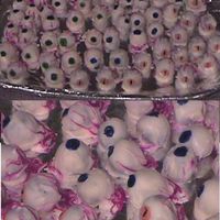 Eye Cakeball Truffels I got the idea for these from CC and thought it would be great for a party I was invited to. I had been saving cake scraps from the last...