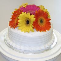 Gerberas Cake for 40th Anniversary