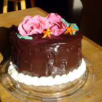 Hibiscus MMF hibiscus, leaves and starfish