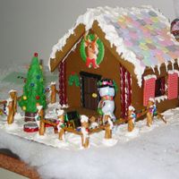 Gingerbread House I made it to raise money at work for a childrens charity.