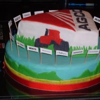 Agco Cake My first corporate logo cake AND my first fondant cake. Credit is due to my mother for the tractor cutouts and stencil creation for the...
