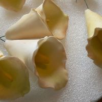 P1020978.jpg My First Gum Paste Cala Lillies.