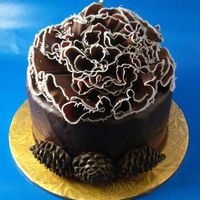 An Homage To Shirleyw!! Thanks a million to ShirleyW for the idea for this cake and for some technical help via email. You rock, Shirley! This was one cake of six...