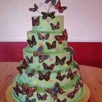 Butterfly Cake 