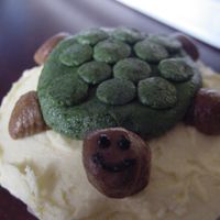 Turtle Cupcake 