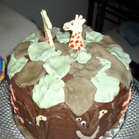 Jungle Cake 