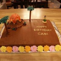 Luau Birthday Cake I added a couple of small drop flowers around the writing before it was picked up but didn't get a picture.