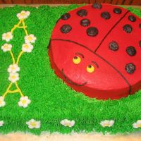 Ladybug Birthday 