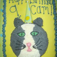 Cameron's Cat Cake 