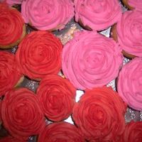 Rose Cupcakes Buttercream