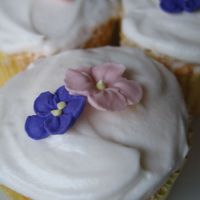 Lemon Angel Food Cupcakes Lemon Angel Food Cupcakes with Royal Icing Flowers - Totally easy to make and with a neat tang to it! Like sweet and sour cupcakes!