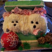 Bichon Christmas Package I made this cake for our vet. We have two bichons, Cagney and Lacey. Cagney, the male loves to eat tissue so he has a piece in his mouth on...