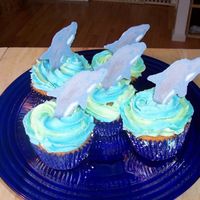 Dolphin Cupcakes Made for my daughter's class during "ocean week". Chocolate dolphins in buttercream icing.