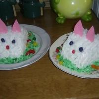 Easter Bunny Cake I love to do these every year and everyone loves them. I just took a roundcake and cut it in half after cooling, then folded it, iced it...
