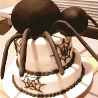 Spider Cake 