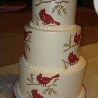 My Red Cardinal Baby 