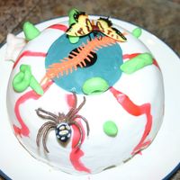 Tuckers Eyeball After seeing his mother looking at the site all the time he has persistantly asked if he could make a cake. I finally said yes and allowed...