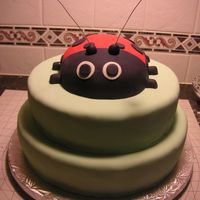 Lady Bug this was for a baby shower w/ a spring theme...