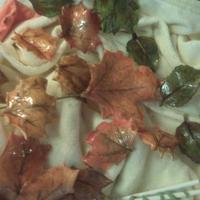 Fall Leaves assorted fall leaves