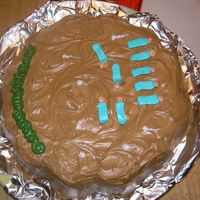 Camping Camp ground with campers in sleeping bags and toilet paper everywhere and bushes!