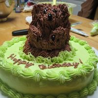 Groundhog Friends sister was born on Groundhog's Day. Groundhog is made from the mini stand up teddy bear pan and then carved to resemble (...