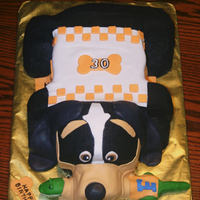 University Of Tennessee This is a 3-D cake of Smokey, the University of Tennessee mascot. He has a chew-toy of their rival school, University of Florida's...