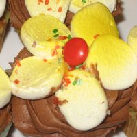 Flower Cupcakes Vanilla cupcakes with fudge frosting. Snipped marshmellows with &m centers for the flowers. Sprayed a bit of yellow in the center of...