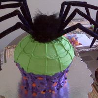 Spider Cake This cake is made out of buttercream icing and the spider is made out of cardboard and wire covered with black material.