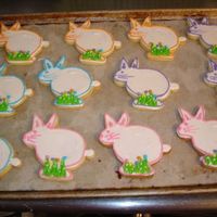 Easter Bunnys easter bunnys